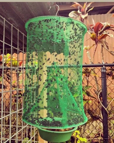 Légycsapda - Hatékony Rovarcsapda Otthoni és Kerti Használatra