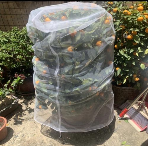 Kerti növénytakaró védőháló rovarok ellen, UV-álló és légáteresztő - 100 x 150 cm