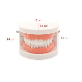   Gyermekek számára készült fogmosás oktató segédeszköz – Interaktív tanulási eszköz