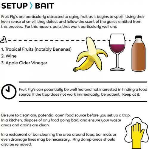 2db Muslica csapda, gyümölcslégy fogó palackdugó, hatékony kártevőirtó rendszer otthoni használatra