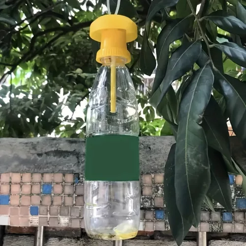 2db Palackra Helyezhető Légycsapda Hatékony Légyfogó Megoldásként