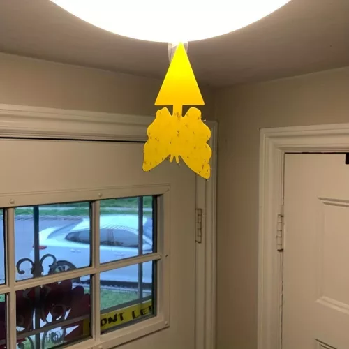 5db Hatékony Ragadós Rovarcsapda Beltéri és Kültéri Használatra