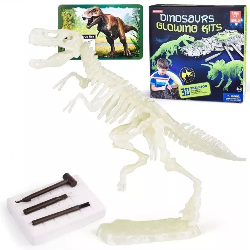 Dínó csontváz foszforeszkáló építő szett