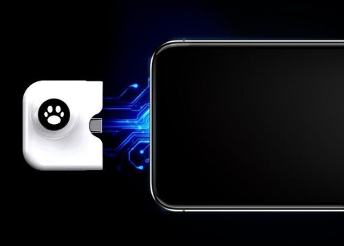 Játék kontroller (Type-C)