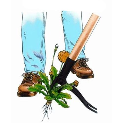 Gyomkiszedő, Gyomeltávolító fej