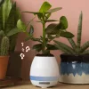 LED-es bluetooth hangszóró virágtartóval