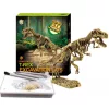Dinoszaurusz régész készlet - T-Rex