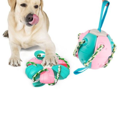 2 az 1-ben kutyajáték