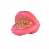 Kutyajáték Pimp Dog Chew