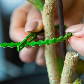   Garden of Eden Oldható növénykötöző szett - 40 db - 165 mm