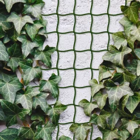   Garden of Eden Növényfuttató háló - 5 m x 50 cm - vágható műanyag - sötétzöld