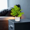 Vog und Arths monstera műnövény dekoráció 22 x 8,5 cm