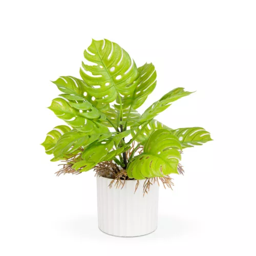 Vog und Arths monstera műnövény dekoráció 22 x 8,5 cm