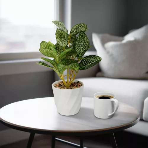 Vog und Arths fittonia műnövény dekoráció 20 x 9 cm