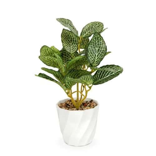 Vog und Arths fittonia műnövény dekoráció 20 x 9 cm