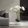 Vog und Arths fehér orchidea műnövény dekoráció 58 cm