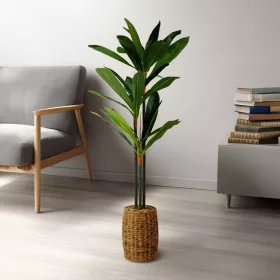   Vog und Arths Dracaena Fragrans műnövény dekoráció 1,1-1,2 m