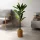 Vog und Arths Dracaena Fragrans műnövény dekoráció 1,1-1,2 m