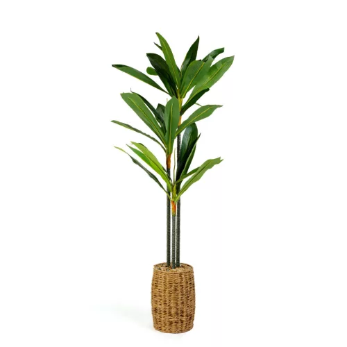 Vog und Arths Dracaena Fragrans műnövény dekoráció 1,1-1,2 m