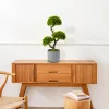 Vog und Arths műnövény bonsai dekoráció 55 x 27 cm