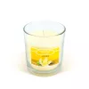 Vog und Arths vanília illatgyertya 120 g