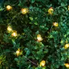 Family csibe LED fényfüzér, 2 m, 20 LED, 2 x AA