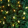 Family LED fényfüzér nyuszi és répa mintával, 2 m, 20 LED, 2 x AA