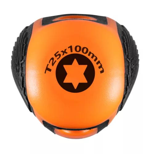 NEO TOOLS Csavarhúzó TORX T25x100mm 25 év garanciával 04-189