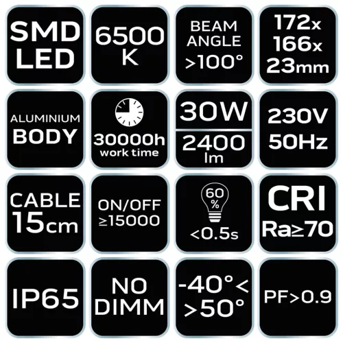 NEO TOOLS Reflektor 230V/30W, 2400lum, SMD led 2 év garanciával 99-052