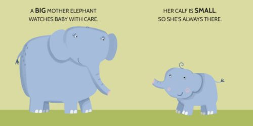 Sassi játszva oktató sorozat – puzzle és angol könyv