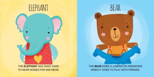 Sassi oktató játék angolul