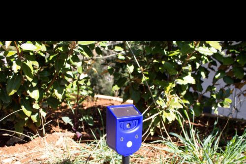 Genius Ideas - Univerzális Napenergiás Riasztó