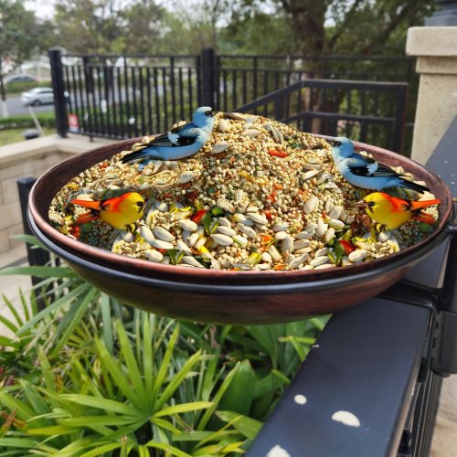 Kültéri madárfürdő