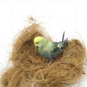   Természetes kókuszdióhéj rost madárfészek készítéshez