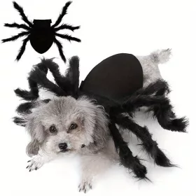   Halloweeni pók jelmez macskáknak és kis/közepes kutyáknak