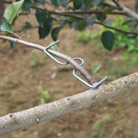   20 részes kerti szerszámkészlet, tartós gyümölcsfaág-hajlító, növénynövekedést formáló eszköz