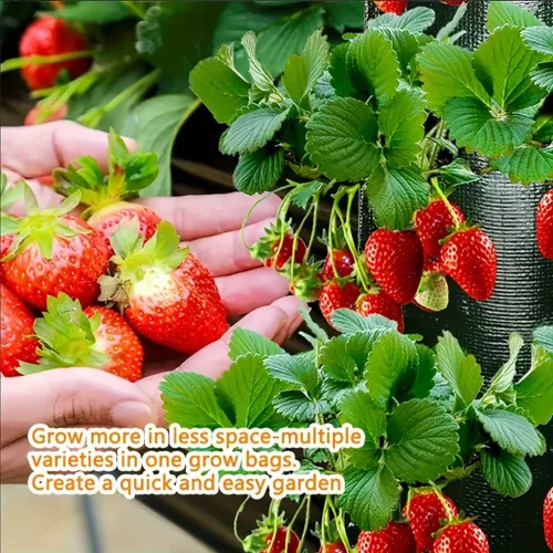 3 darabos Prémium Akasztós Eperültető Táska Készlet