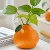 Stílusos narancssárga citrusforma váza