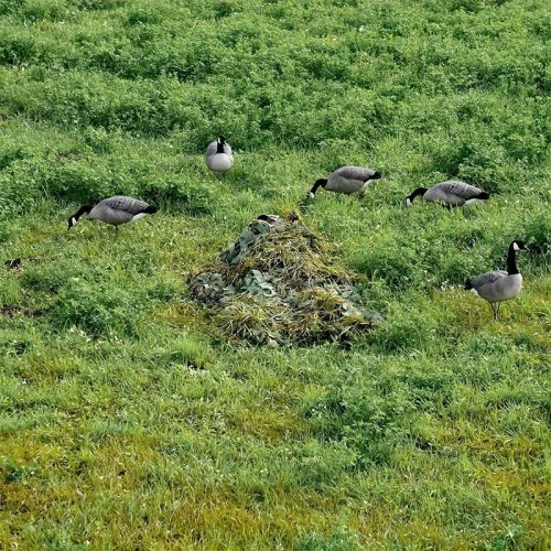 Tekercses álcázóháló