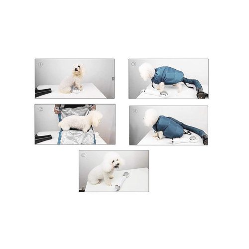 Kutyaszárító hajszárító zsák - Szőr szárítás, kutyakozmetika, háziállat, szőrkefe, szőrtelenítés, kutyatartás, kutyafésülés