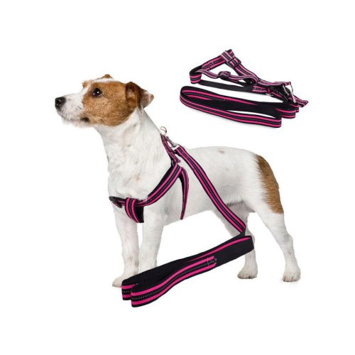 Kutyahám + fényvisszaverő póráz 2.5cm - Kutyahám, póráz, fényvisszaverő, sétáltatás, kutyasétáltatás, kutyafelszerelés