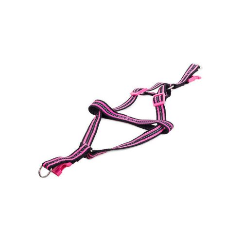 Kutyahám + fényvisszaverő póráz 2.5cm - Kutyahám, póráz, fényvisszaverő, sétáltatás, kutyasétáltatás, kutyafelszerelés