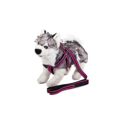 Kutyahám + fényvisszaverő póráz 2.5cm - Kutyahám, póráz, fényvisszaverő, sétáltatás, kutyasétáltatás, kutyafelszerelés