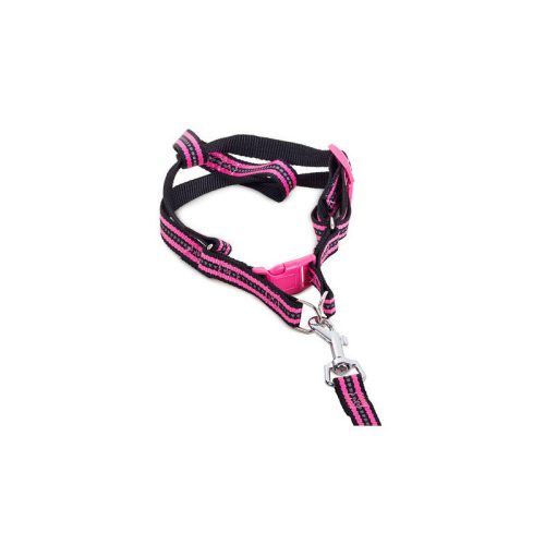 Kutyahám + fényvisszaverő póráz 2.5cm - Kutyahám, póráz, fényvisszaverő, sétáltatás, kutyasétáltatás, kutyafelszerelés