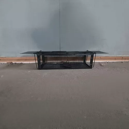 Rágcsálócsapda kalitka